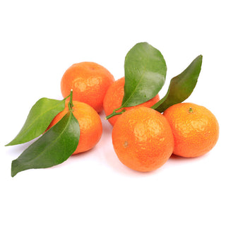 Fruits