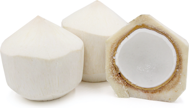Coconut Tender Size: 1 piece Vietnam 🇻🇳