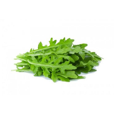 Lettuce Rocket Premium Quality (Italy)🇮🇹