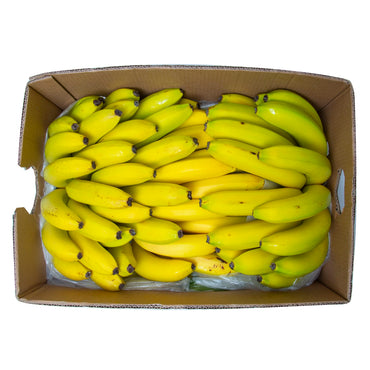 Banana Premium Quality (Ecuador)🇪🇨