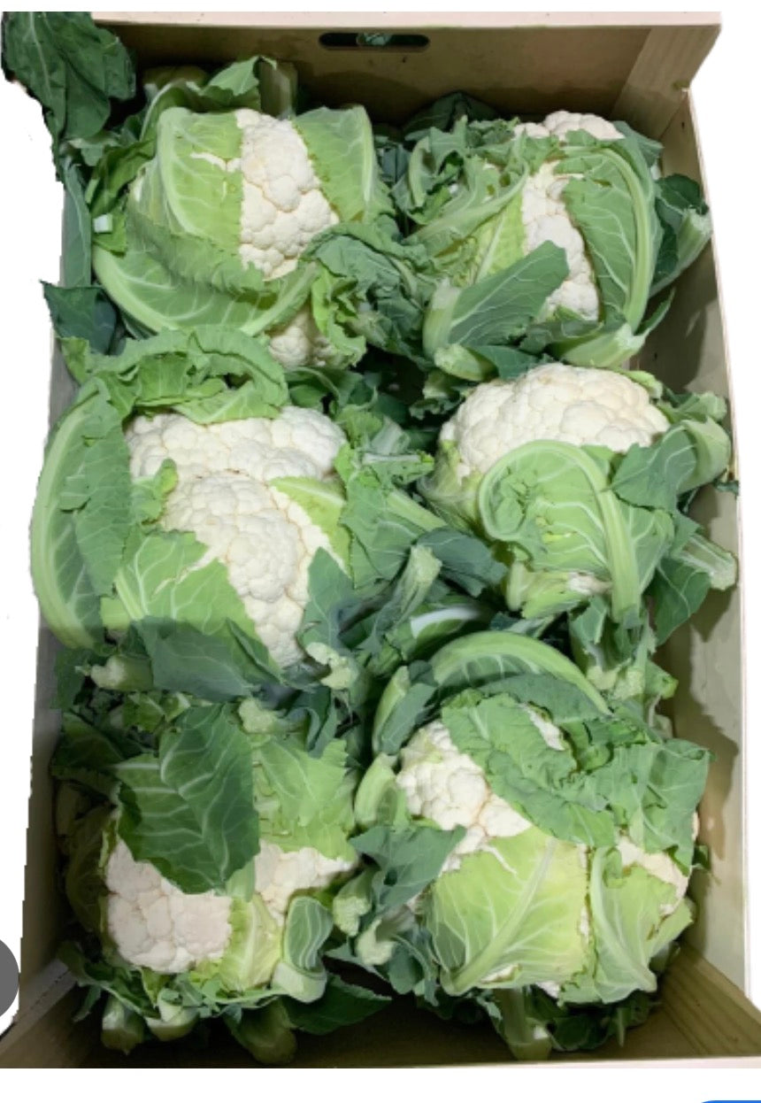 Cauliflower premium quality oman 🇴🇲