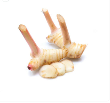 Galanga (Galangal) Premium Quality Thailand 🇹🇭