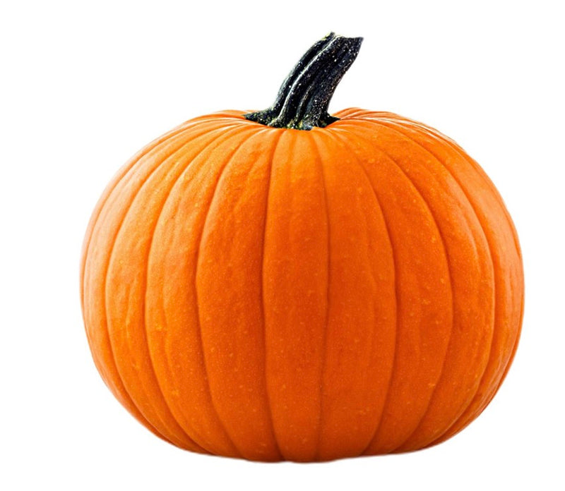 Large Pumpkin 🇳🇱