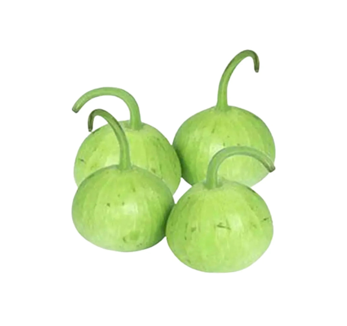 Pumpkin Round (Kaddu)500G by air (pakistan)🇵🇰