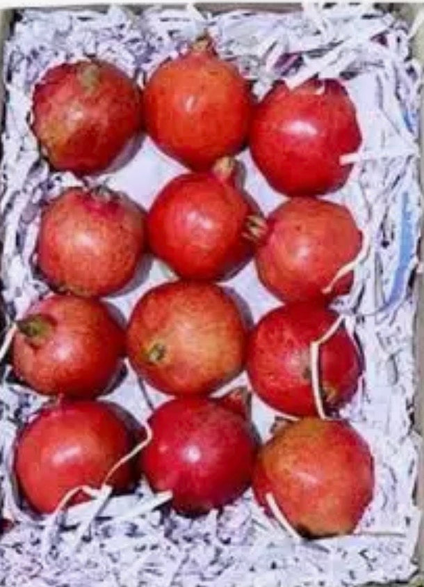 Pomegranate India 🇮🇳