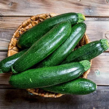 Zucchini Green Holland 🇳🇱
