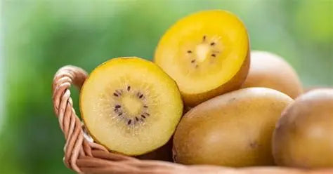 Kiwi Golden Premium Quality chile 🇨🇱
