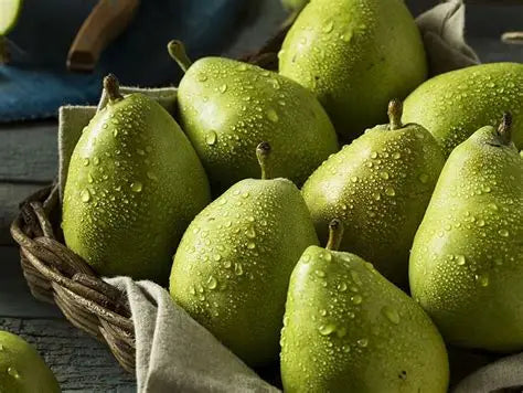 Pears D' Anjou USA 🇺🇸