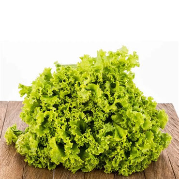 Yellow Lettuce Frisee (Netherlands)🇳🇱