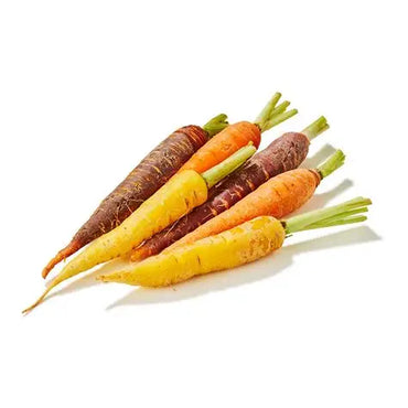 Mini Rainbow Carrot South Africa