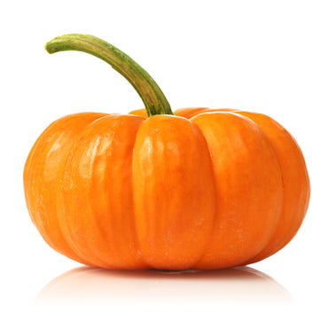 Pumpkin Red Organic India 🇮🇳