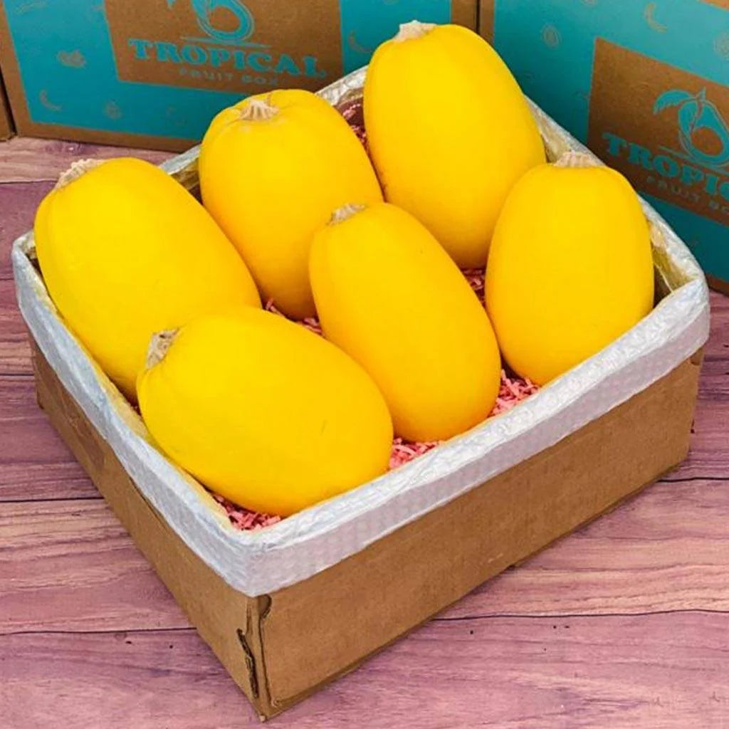 Sweet melon Oman 🇴🇲