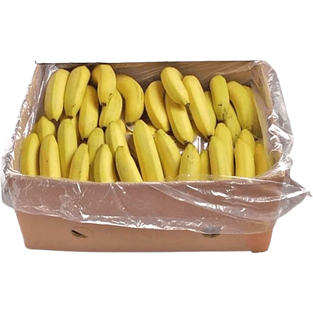 Banana Philippine PH