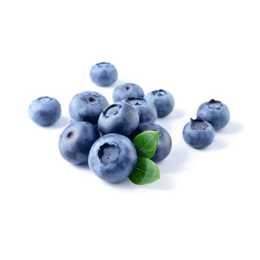 Blueberry South Africa 🇿🇦