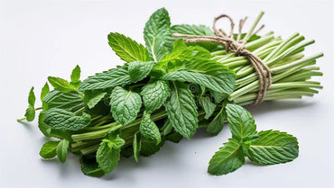 Mint Leaves Oman 🇴🇲