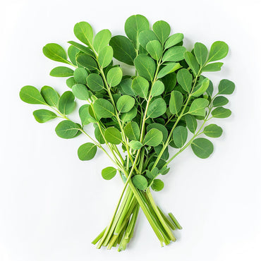 Drumstick Leaves (Moringa Leaves) UAE 🇦🇪