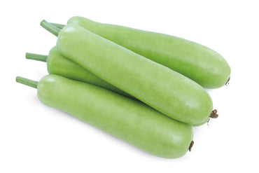 Bottle Gourd (Lauki/Dudhi) by air Pakistan 🇵🇰