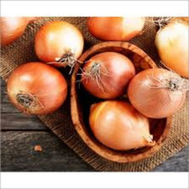 Onion Brown Organic India 🇮🇳