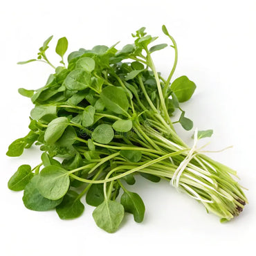 Water Cress Oman 🇴🇲