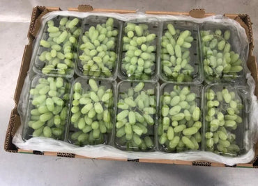 Grapes (sundar khani) India 🇮🇳