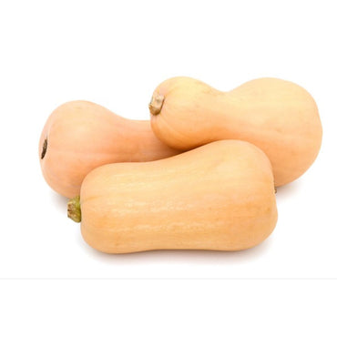 Butternut Pumpkin Premium Quality (United Arab Emirates)🇦🇪