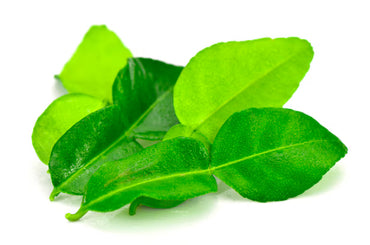 Lime Leaves Premium Quality (Thailand)🇹🇭