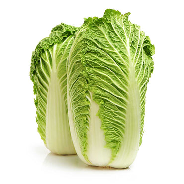 Cabbage Premium Quality Chinese (Netherlands)🇳🇱