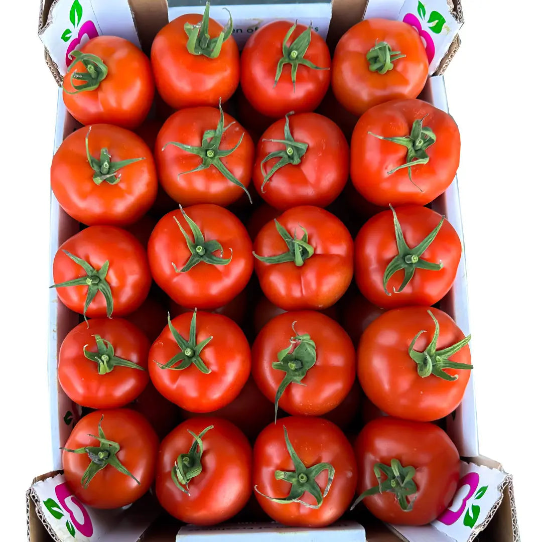 Tomato Red Oman 🇴🇲