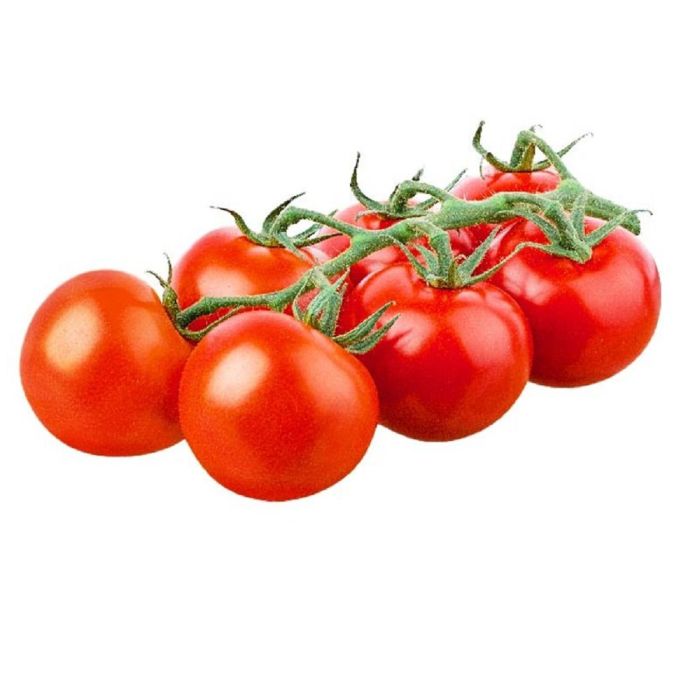 Tomato Green House Organic