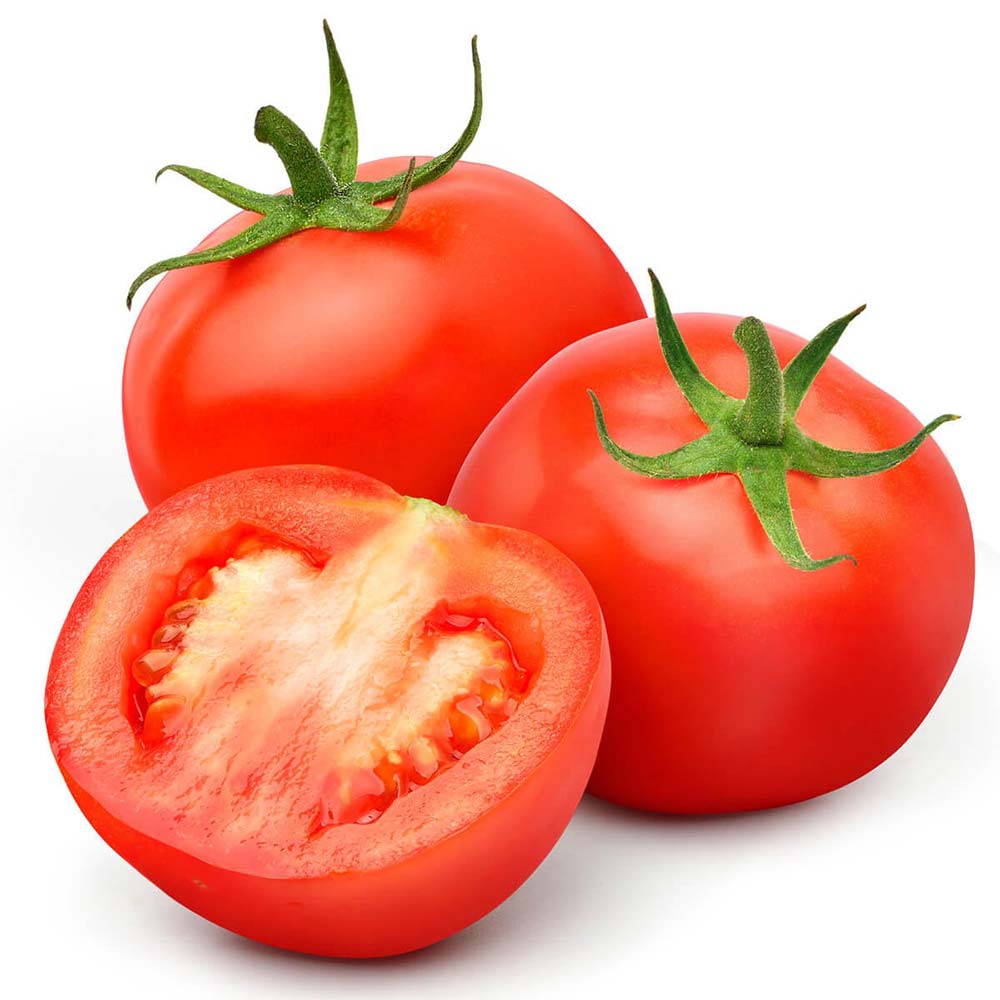 Tomato Organic Iran 🇮🇷