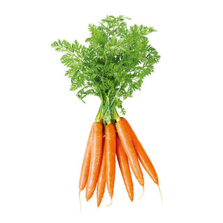 Roots & Tubers