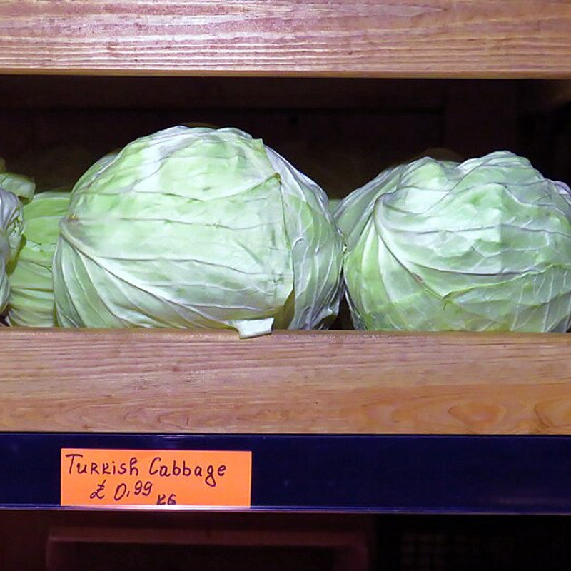 Cabbage - White Flat (Organic) (UAE)