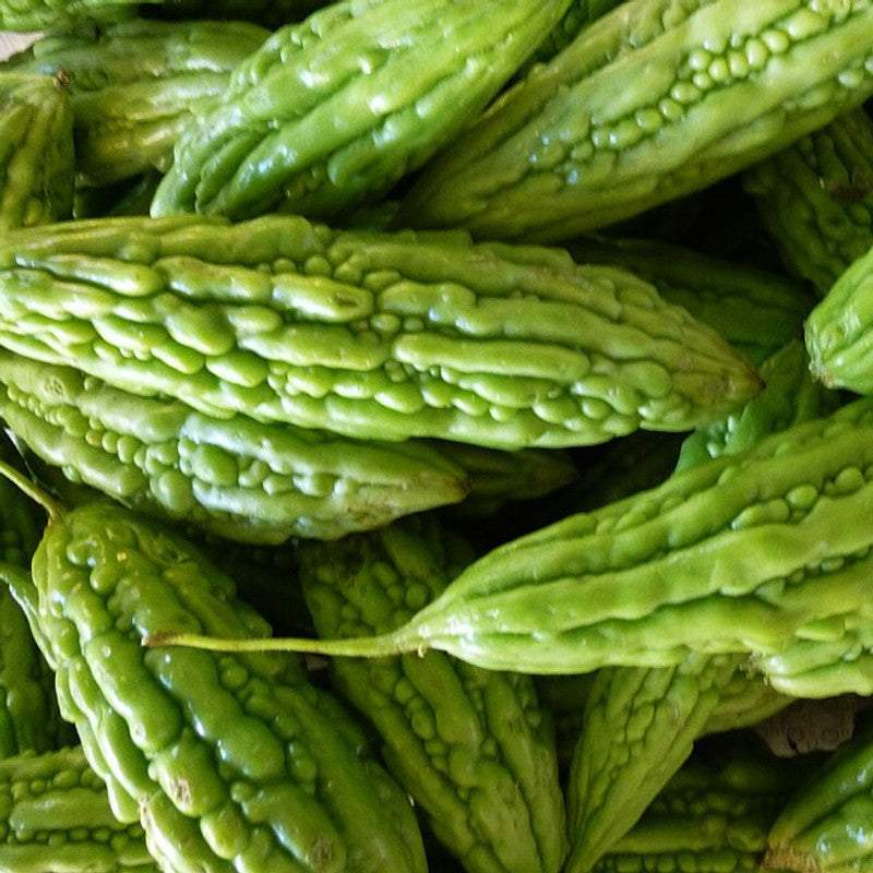 Bitter Gourd (Karela) - RT1247GT