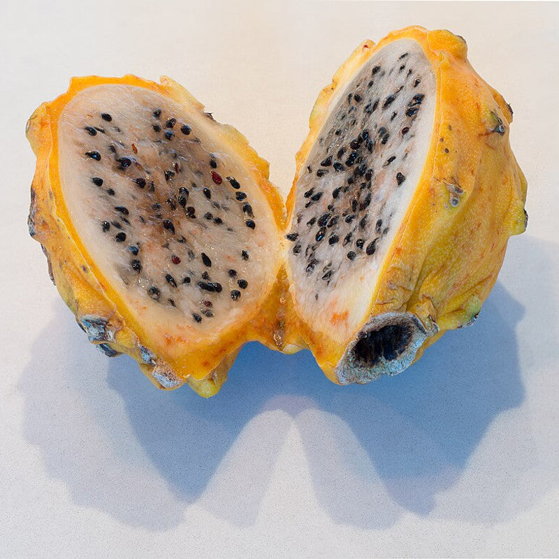 Dragon Fruit (Pitaya) - Yellow (Colombia)