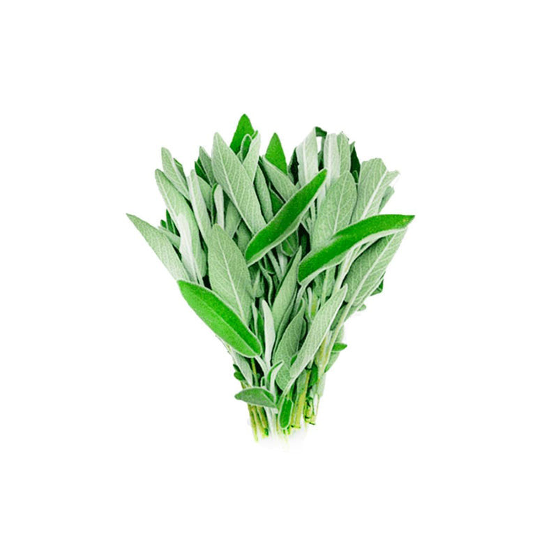 Sage (Kenya)