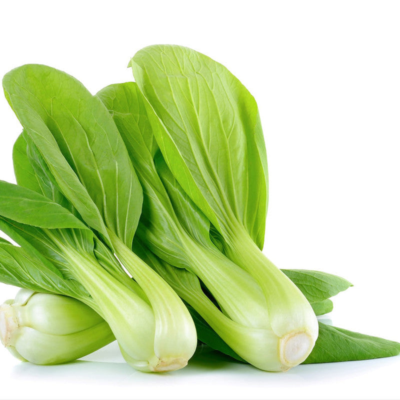 Bok Choy (Pak Choi) (China)
