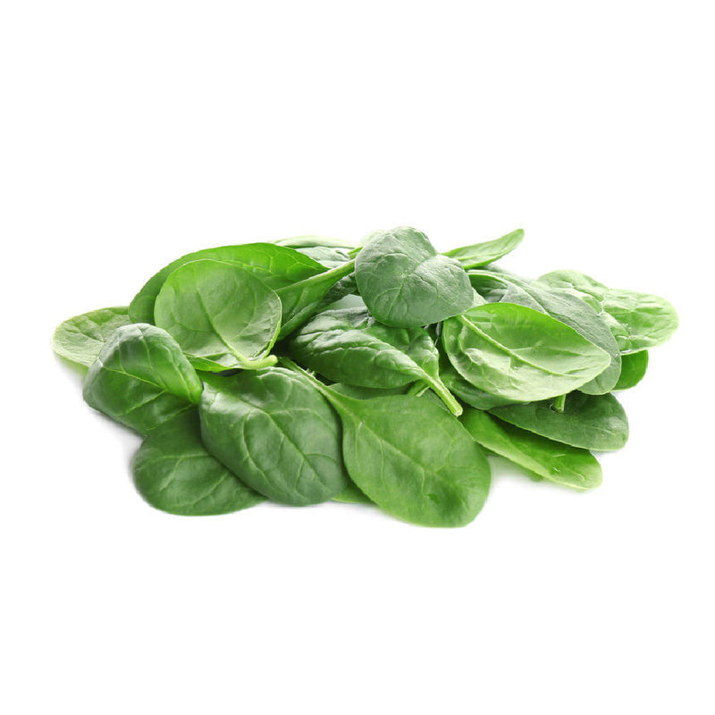 Spinach - Palak (UAE)