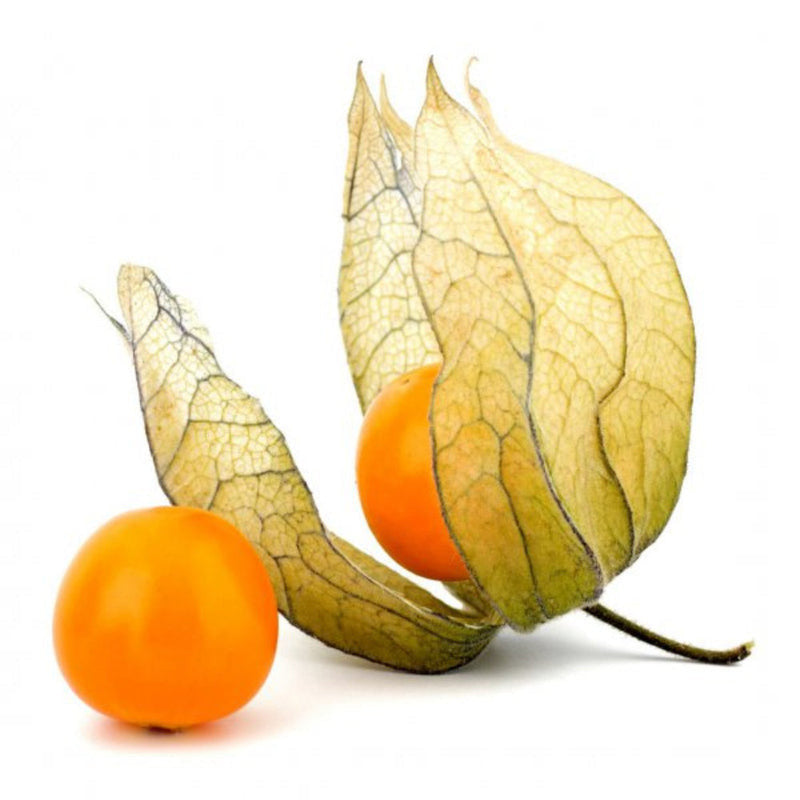 Cape Gooseberry (Physalis) (Colombia)