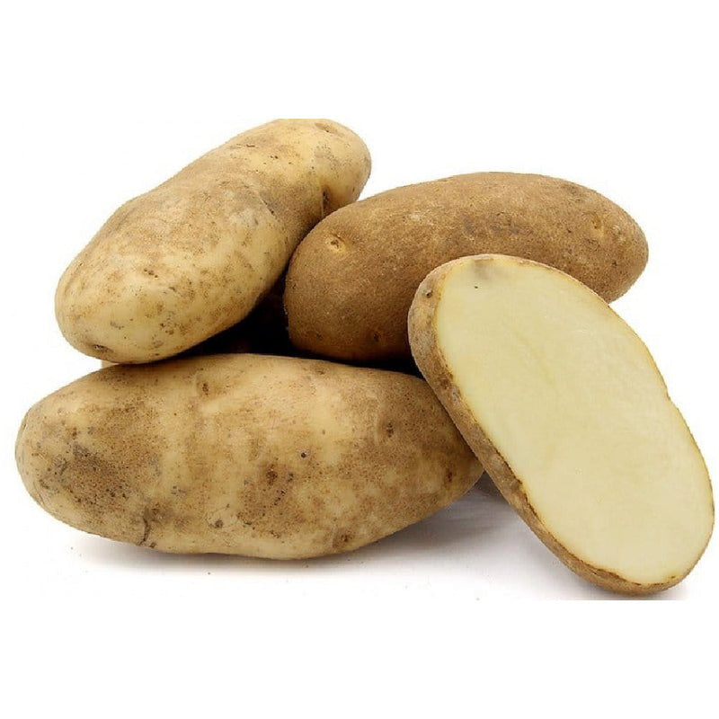 Potato - Idaho / Russet (USA)