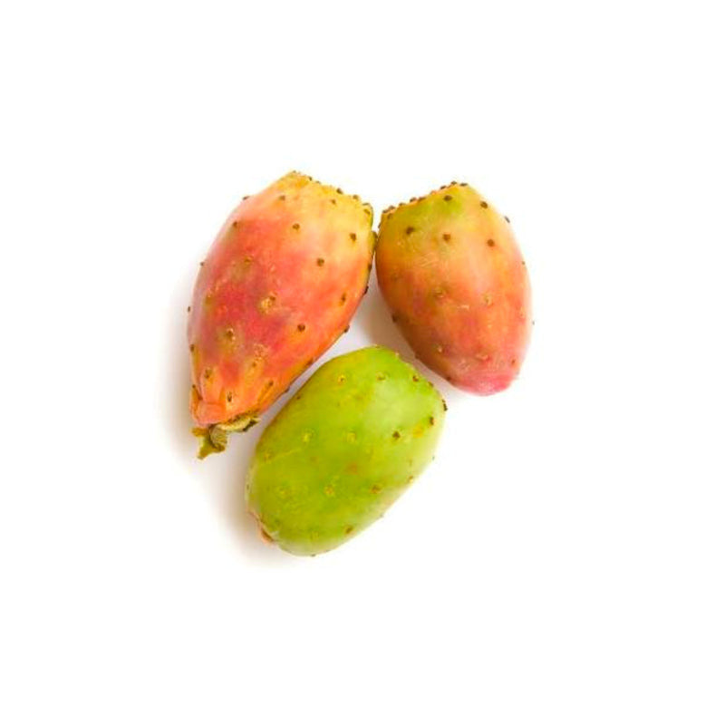 Prickly Pear (Tunisia)