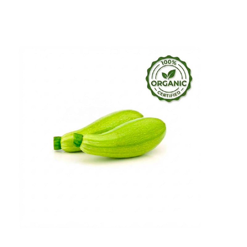 Marrow (Kosa) (UAE)
