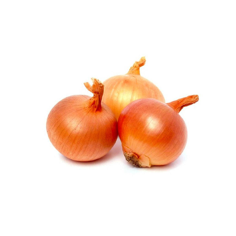 Onion - Brown / Yellow (Spain)
