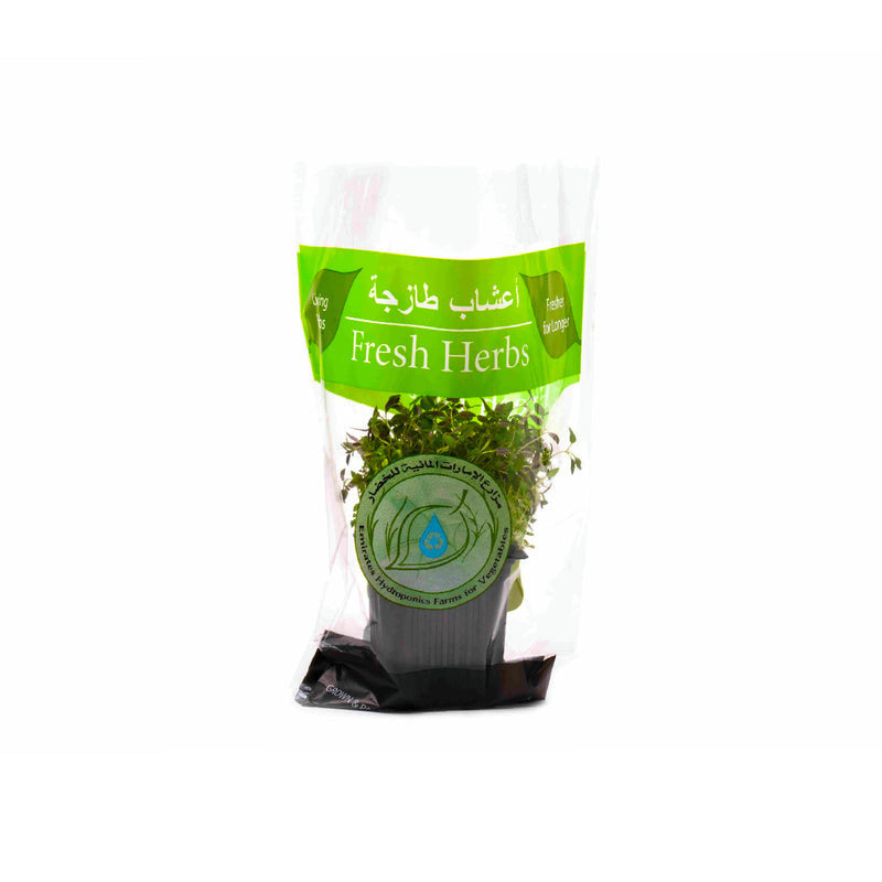 Mustard Leaves (Sarson Saag) (UAE)