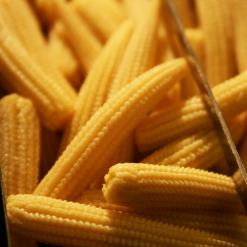 Baby Corn (Thailand)