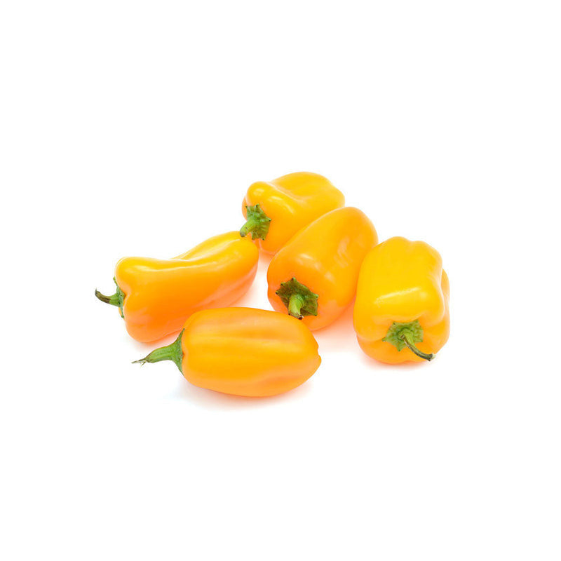 Capsicum - Yellow (Netherlands)