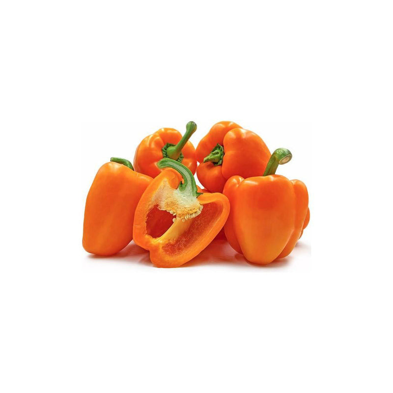 Chilli - Habanero (Netherlands)