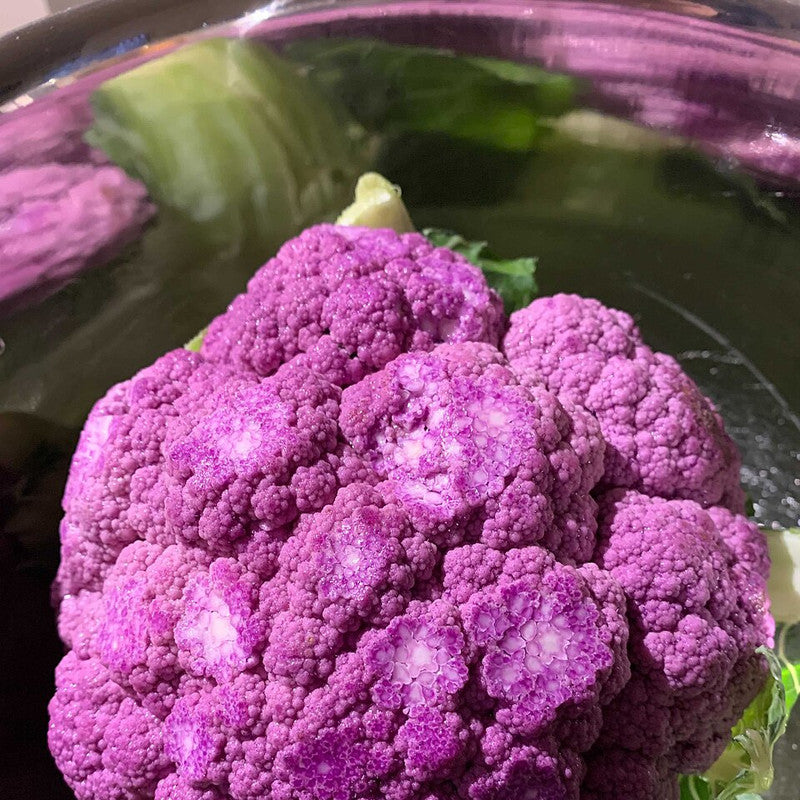 Cauliflower - Purple (Netherlands)