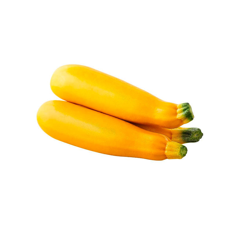 Zucchini (Courgette) - Yellow (Netherlands)