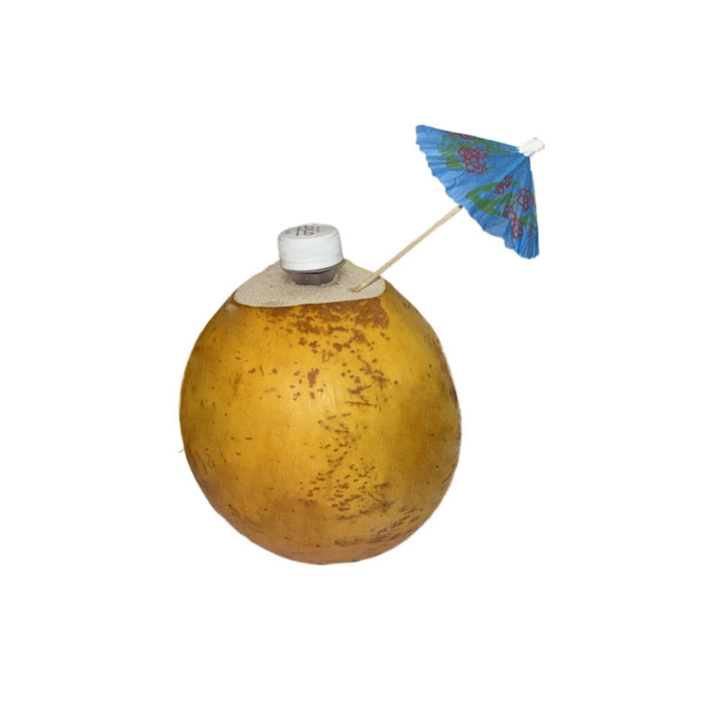 Coconut - King (Yellow) (Sri Lanka, Bulk Box) - RAZ533