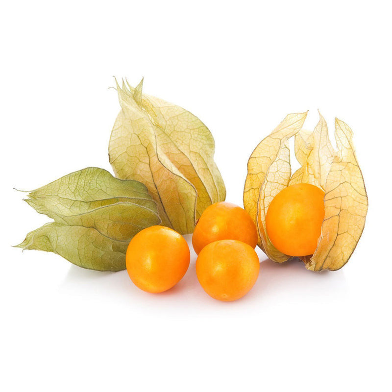Cape Gooseberry (Physalis) (Colombia) - RAZ246